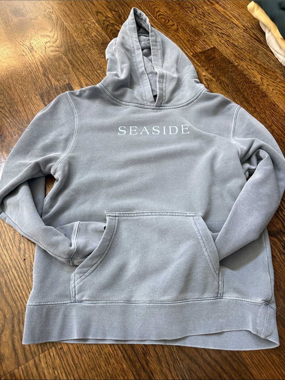 Seaside Hooded Sweatshirt for Kids - Soft Light Blue